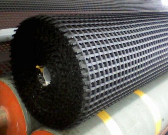 �����w�S�������